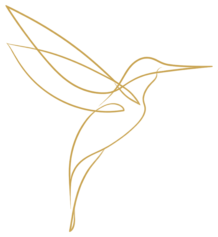 The Casa Tinkuy hummingbird